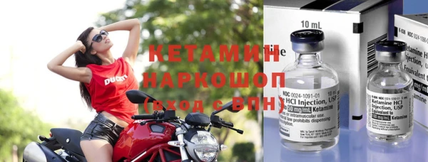 прущие грибы Пересвет