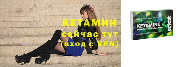 прущие грибы Пересвет