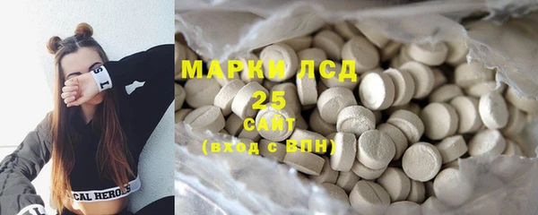 прущие грибы Пересвет
