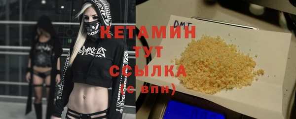 сатива Кедровый