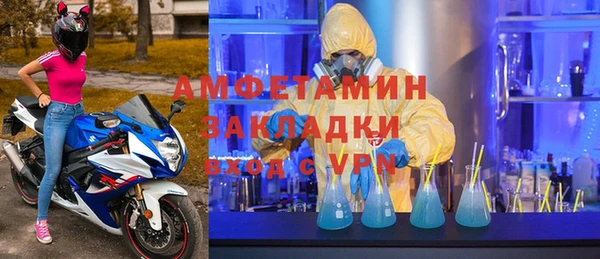 прущие грибы Пересвет