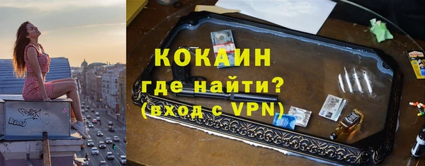 прущие грибы Пересвет