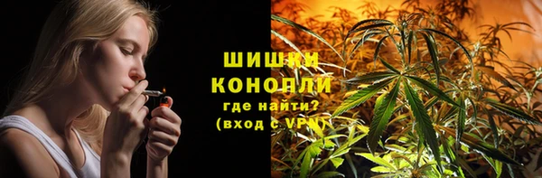 сатива Кедровый