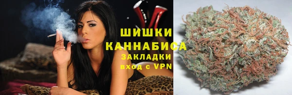 прущие грибы Пересвет