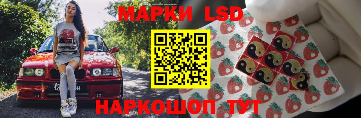 omg вход  ЛСД экстази ecstasy  Лсд 25 экстази  Кузнецк  Лсд 25 экстази ecstasy 