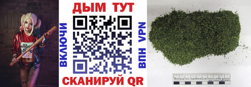 МАРИХУАНА гибрид закладка Кузнецк