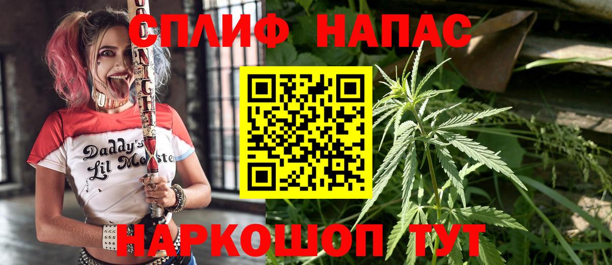 Канабис гибрид Кузнецк